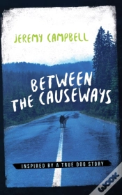 Capa do artigo Between The Causeways
