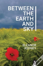 Capa do artigo Between The Earth And Sky