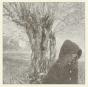 Between the Earth & the Sky - Silver Vinyl (LRS20) - Vinil - Preview
