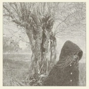 Capa do artigo Between the Earth & the Sky - Silver Vinyl (LRS20) - Vinil