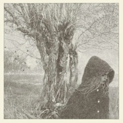 Capa do artigo Between the Earth & the Sky - Silver Vinyl (LRS20) - Vinil