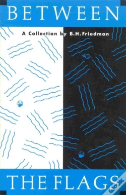 Capa do artigo Between The Flags