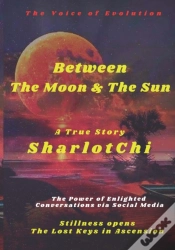 Capa do artigo Between The Moon & The Sun