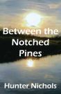 Between The Notched Pines - Preview