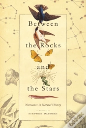 Capa do artigo Between The Rocks And The Stars