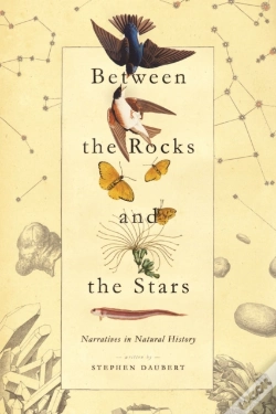 Capa do artigo Between The Rocks And The Stars