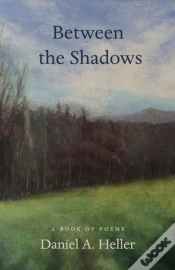 Capa do artigo Between The Shadows