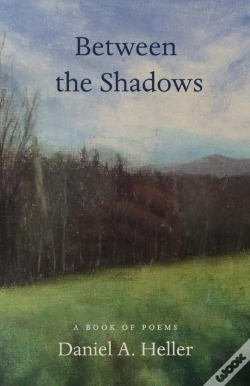 Capa do artigo Between The Shadows