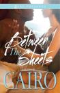 Between The Sheets - Preview