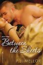 Between The Sheets - Preview