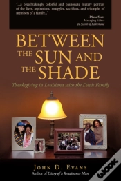 Capa do artigo Between The Sun And The Shade