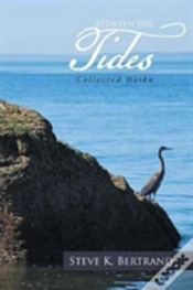 Capa do artigo Between The Tides