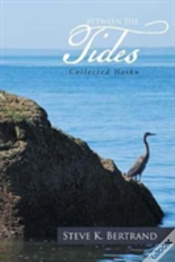 Capa do artigo Between The Tides