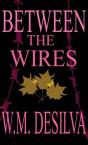 Between The Wires - Preview