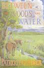 Between The Woods And The Water - Preview