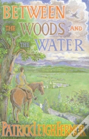 Capa do artigo Between The Woods And The Water