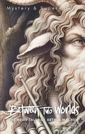 Capa do artigo Between Two Worlds