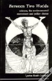 Capa do artigo Between Two Worlds