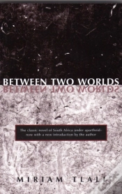 Capa do artigo Between Two Worlds