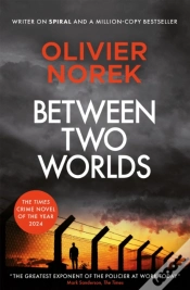 Capa do artigo Between Two Worlds