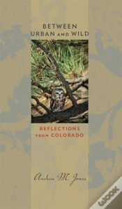Capa do artigo Between Urban And Wild