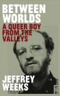 Between Worlds: A Queer Boy From The Valleys - Preview