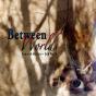 Between Worlds - CD - Preview