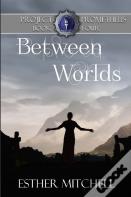 Between Worlds