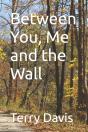 Between You, Me And The Wall - Preview