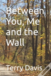 Capa do artigo Between You, Me And The Wall