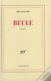 Capa do artigo Beule