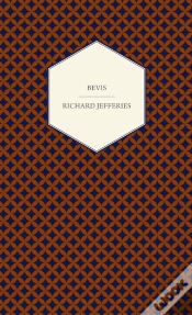 Capa do artigo Bevis