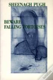 Capa do artigo Beware Falling Tortoises