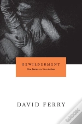 Bewilderment