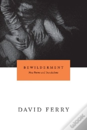Capa do artigo Bewilderment