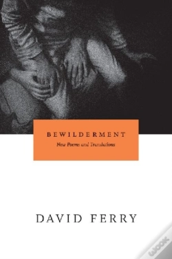 Capa do artigo Bewilderment