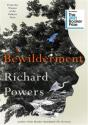 Bewilderment - Preview