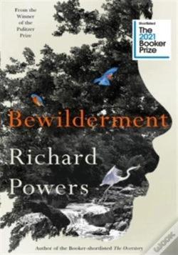 Capa do artigo Bewilderment