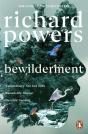 Bewilderment - Preview