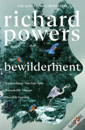 Capa do artigo Bewilderment