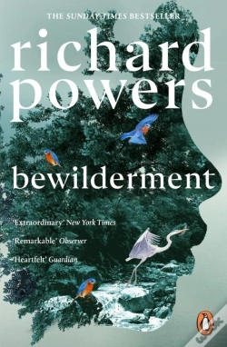 Capa do artigo Bewilderment