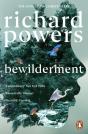 Bewilderment - Preview