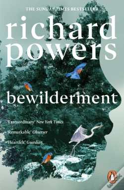 Capa do artigo Bewilderment