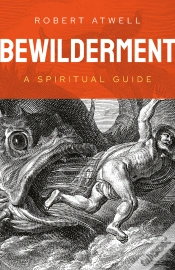 Capa do artigo Bewilderment