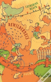 Capa do artigo Bewilderness