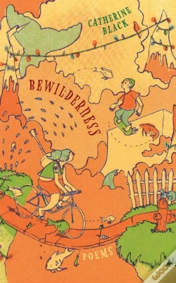 Capa do artigo Bewilderness