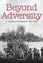 Beyond Adversity - Preview