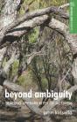 Beyond Ambiguity - Preview