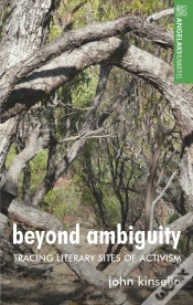 Capa do artigo Beyond Ambiguity