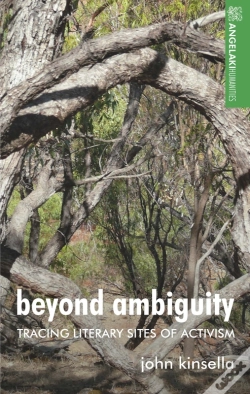 Capa do artigo Beyond Ambiguity